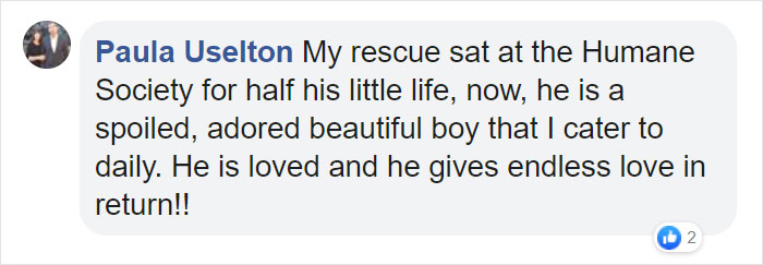 Heartbreaking Photos Show How Much Living In A Dog Shelter For 6 Years Changes A Dog Heartbreaking Photos Show How Much Living In A Dog Shelter For 6 Years Changes A Dog