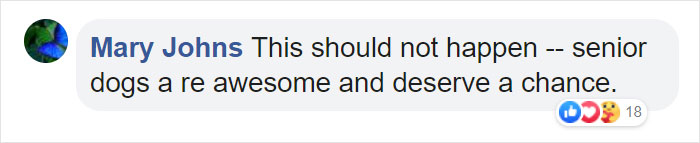 Heartbreaking Photos Show How Much Living In A Dog Shelter For 6 Years Changes A Dog