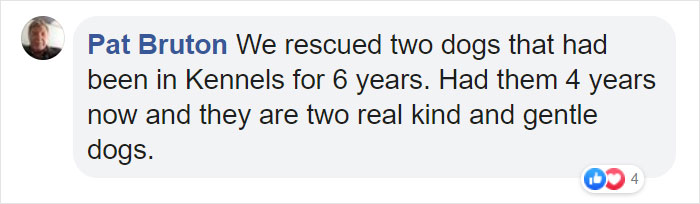 Heartbreaking Photos Show How Much Living In A Dog Shelter For 6 Years Changes A Dog