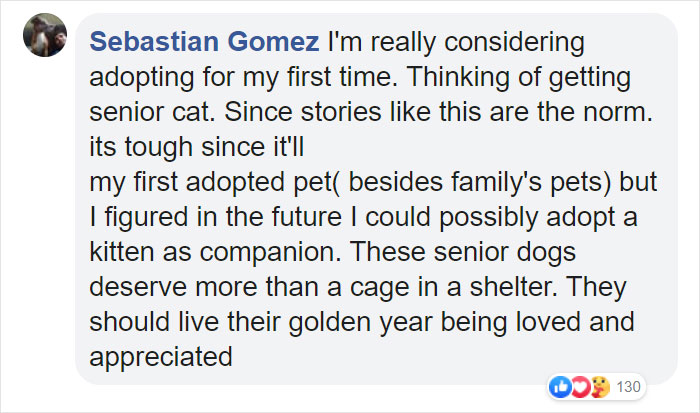 Heartbreaking Photos Show How Much Living In A Dog Shelter For 6 Years Changes A Dog Heartbreaking Photos Show How Much Living In A Dog Shelter For 6 Years Changes A Dog