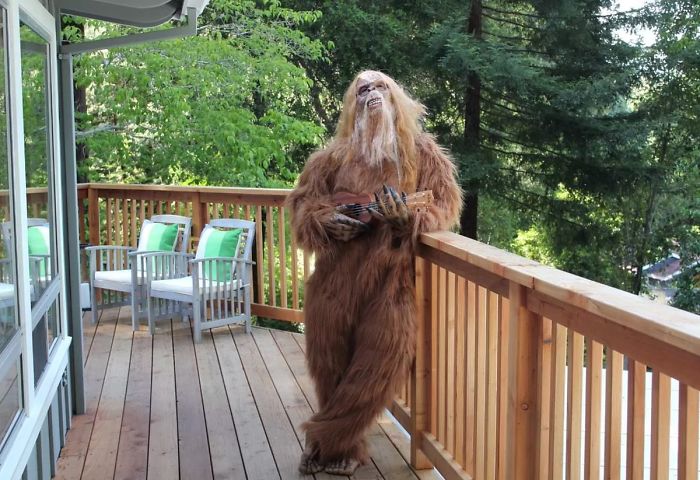 Someone Posed As Bigfoot In This $999,000 House Listing And The Photos Are Hilarious