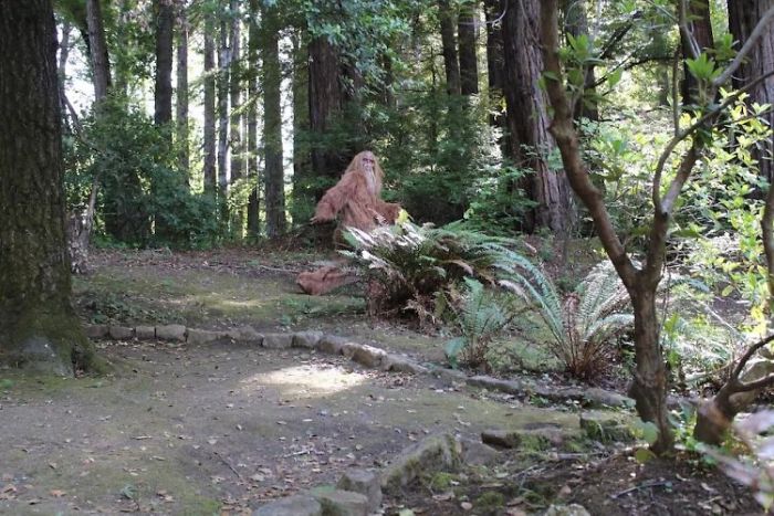 Someone Posed As Bigfoot In This $999,000 House Listing And The Photos Are Hilarious Someone Posed As Bigfoot In This $999,000 House Listing And The Photos Are Hilarious