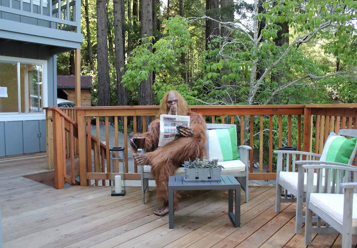 Someone Posed As Bigfoot In This $999,000 House Listing And The Photos Are Hilarious