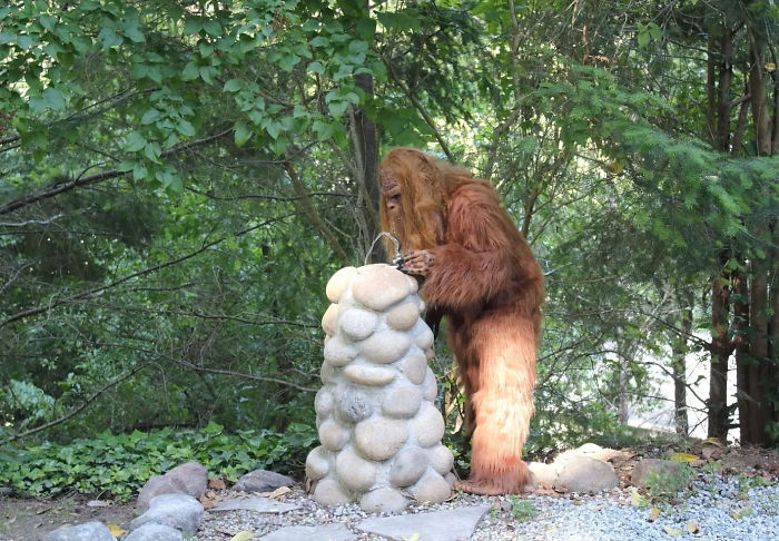 Someone Posed As Bigfoot In This $999,000 House Listing And The Photos Are Hilarious