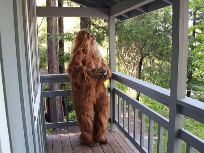 Someone Posed As Bigfoot In This $999,000 House Listing And The Photos Are Hilarious