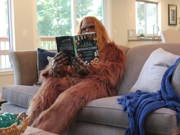 Someone Posed As Bigfoot In This $999,000 House Listing And The Photos Are Hilarious Someone Posed As Bigfoot In This $999,000 House Listing And The Photos Are Hilarious