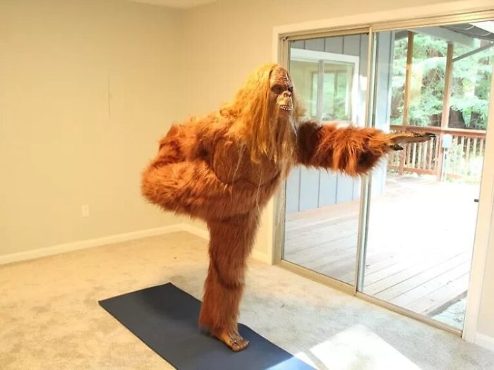 Someone Posed As Bigfoot In This $999,000 House Listing And The Photos Are Hilarious