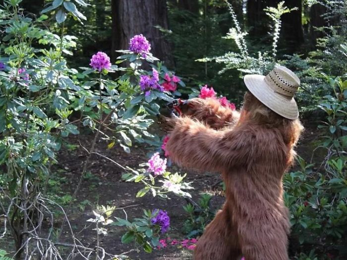 Someone Posed As Bigfoot In This $999,000 House Listing And The Photos Are Hilarious Someone Posed As Bigfoot In This $999,000 House Listing And The Photos Are Hilarious