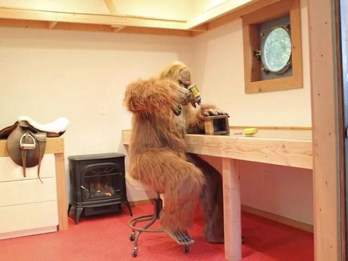 Someone Posed As Bigfoot In This $999,000 House Listing And The Photos Are Hilarious