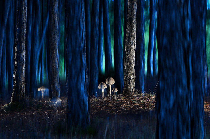 Landscapes, Waterscapes, And Flora, Finalist: 'Rain’s Visitors At Dusk' By Agorastos Papatsanis