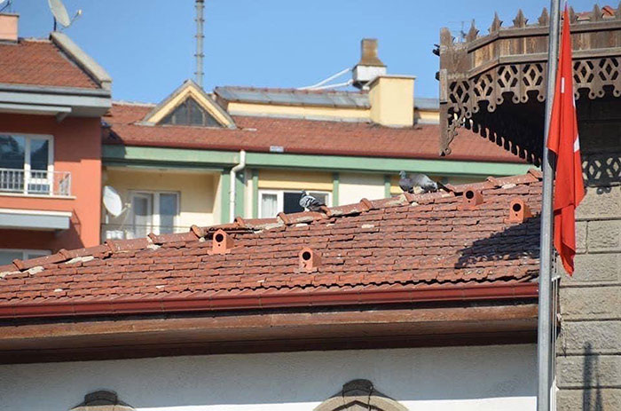 These Multipurpose Roof Tiles Also Provide A House For Birds