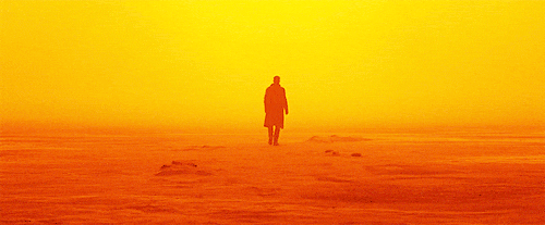 blade-runner-2049-5ecf056e9b286.gif