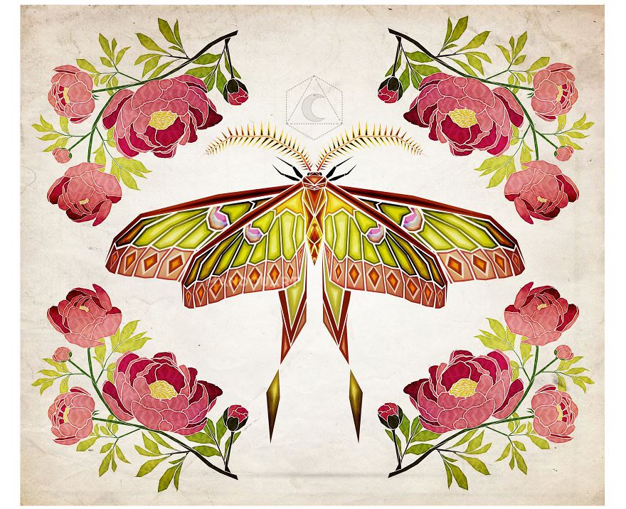 I Made This Art For Show The Beauty Of The Nature!