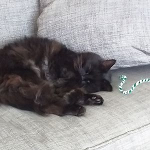 martha-baguley1 avatar