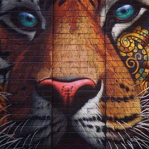 quamheberri67 avatar