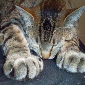 zaykayemi_gma avatar