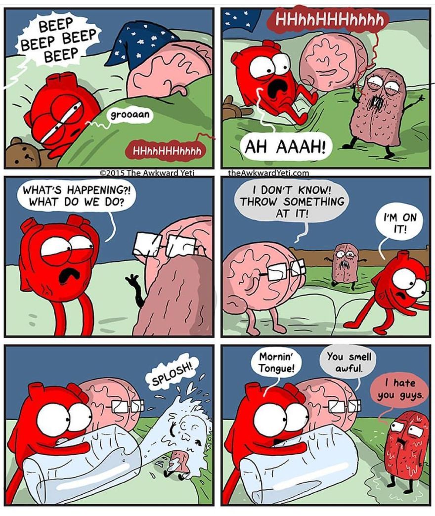 Artist Nick Seluk Creates Cute And Wholesome Comics, Here Are 20 Of Them