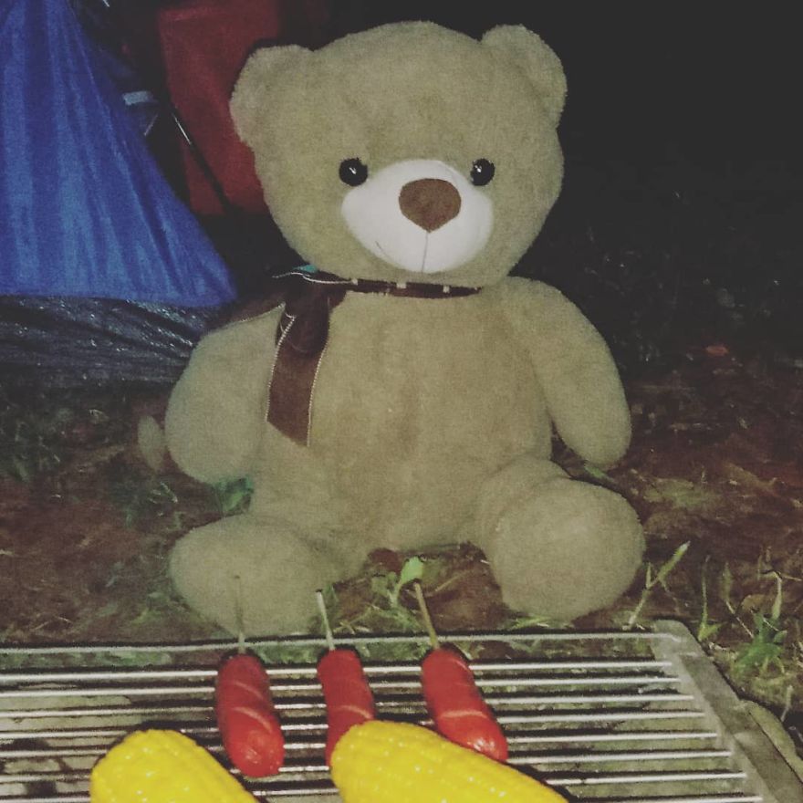 The Adventures Of Milo The Bear