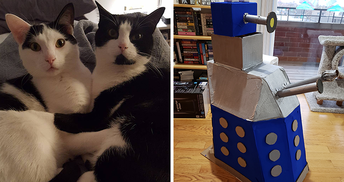 I Built This Dalek For My Cats Out Of Cardboard Boxes, And Topsy And Turvy Are Thrilled