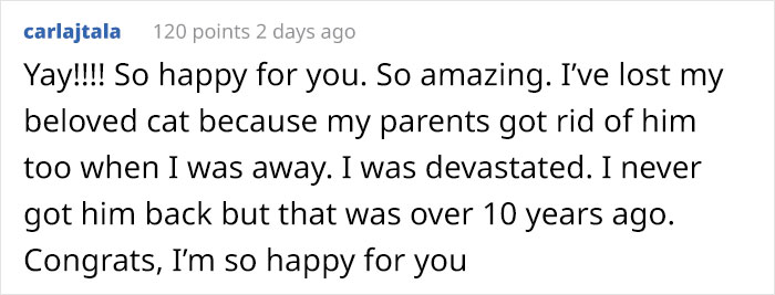 Person Has Their Parents Watch Their Cat During Their First Year Of College, Parents Secretly Give It Away