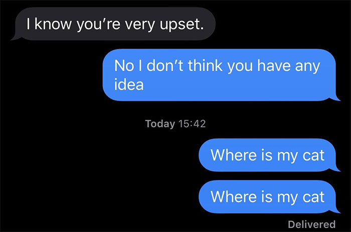 Person Has Their Parents Watch Their Cat During Their First Year Of College, Parents Secretly Give It Away