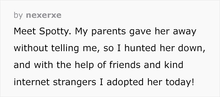 Person Has Their Parents Watch Their Cat During Their First Year Of College, Parents Secretly Give It Away