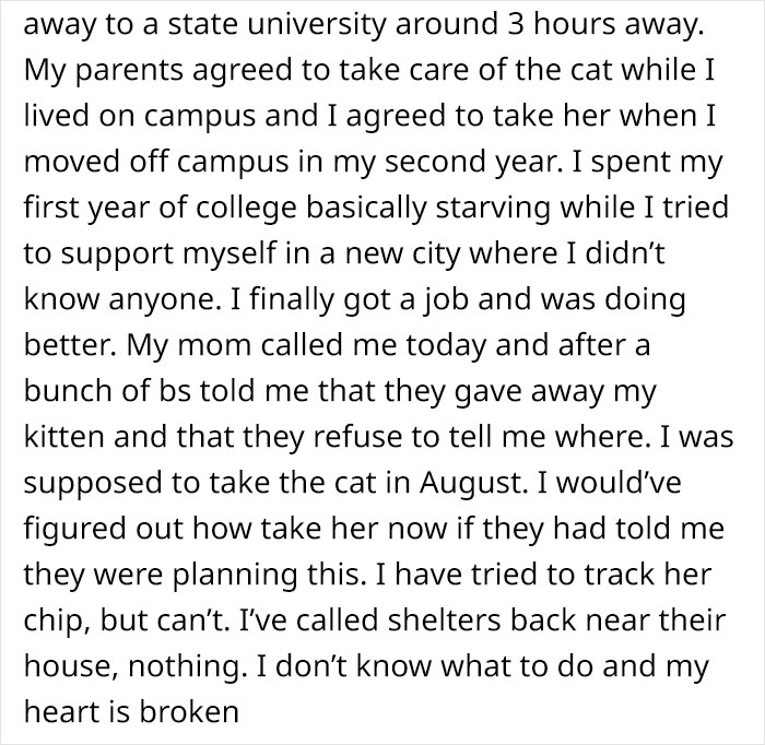 Person Has Their Parents Watch Their Cat During Their First Year Of College, Parents Secretly Give It Away Person Has Their Parents Watch Their Cat During Their First Year Of College, Parents Secretly Give It Away