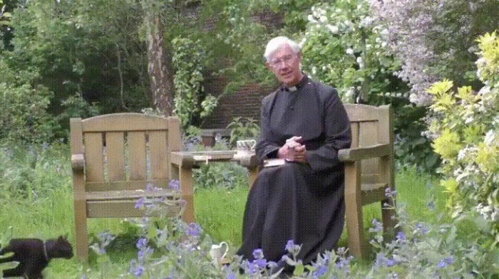 Pussycat Disappears Inside A Priest's Cassock, Hilarious Comments Ensue Pussycat Disappears Inside A Priest's Cassock, Hilarious Comments Ensue