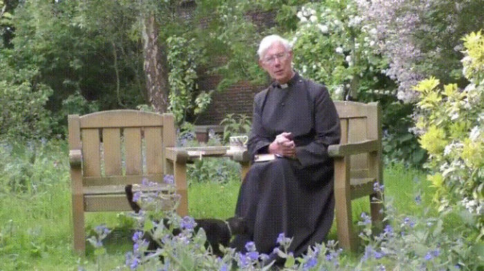 Pussycat Disappears Inside A Priest's Cassock, Hilarious Comments Ensue