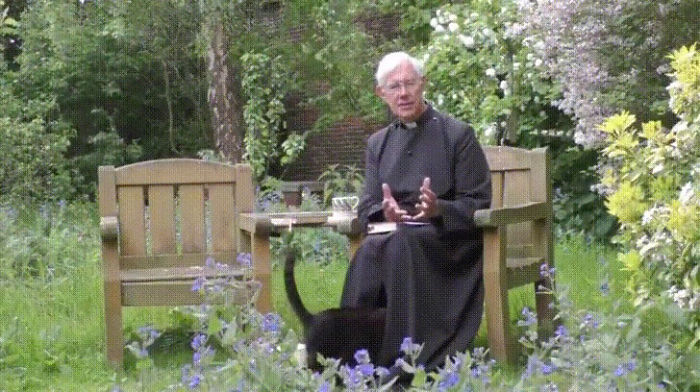 Pussycat Disappears Inside A Priest's Cassock, Hilarious Comments Ensue