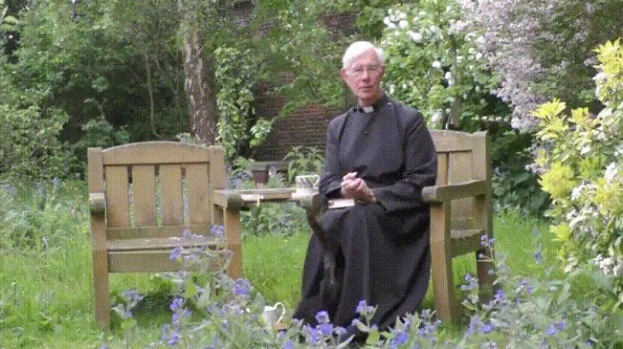 Pussycat Disappears Inside A Priest's Cassock, Hilarious Comments Ensue