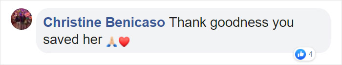 Arizona Humane Society Removes 2 Pounds Of Matted Fur From Fluffer The Cat, She Gets Adopted 2 Days Later Arizona Humane Society Removes 2 Pounds Of Matted Fur From Fluffer The Cat, She Gets Adopted 2 Days Later