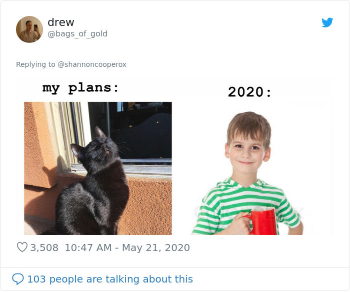 Kid Pours Water Over Woman's Cat So She Teaches Him A Lesson By Pouring A Basin Of Water On Him Kid Pours Water Over Woman's Cat So She Teaches Him A Lesson By Pouring A Basin Of Water On Him