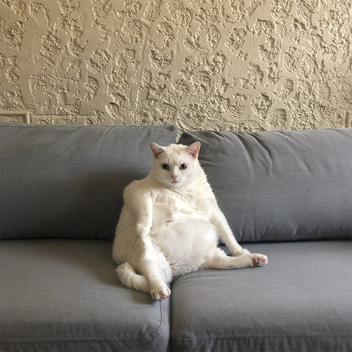 I would like to add Rei into the mix