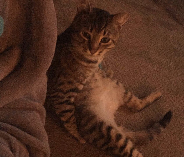 My lil baby boy Louis versus his inability to sit normally