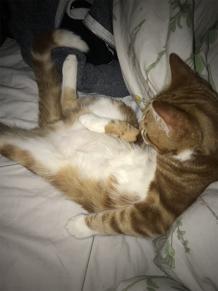 You know what, IM GOING TO GIVE U THE EXCLUSIVE GOODS