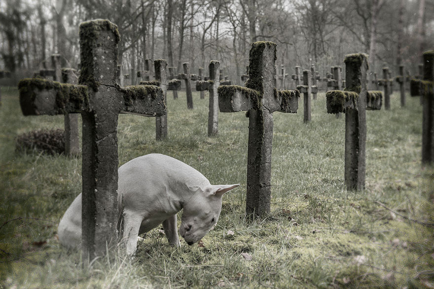 6 Feet Apart Today Is Better Than 6 Feet Under Tomorrow