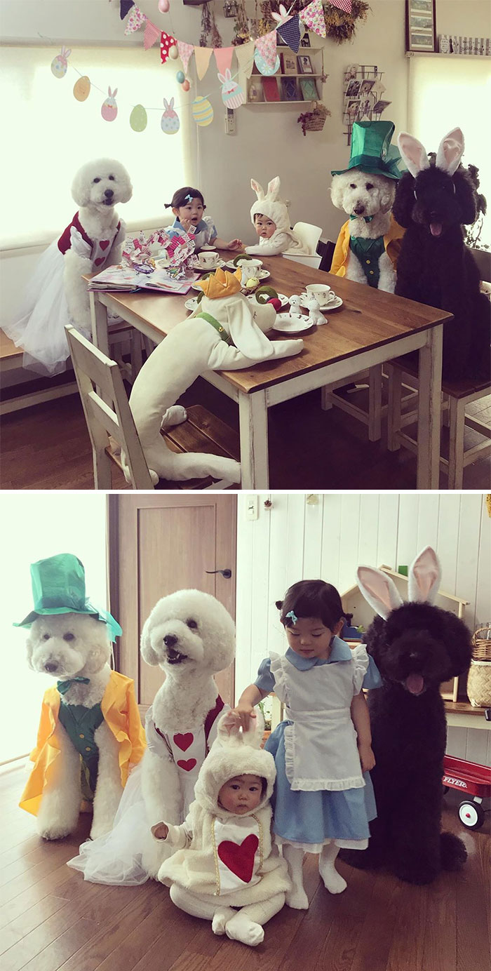 Child-Poodle-Dog-Friendship-Tamanegi-Qoo-Riku