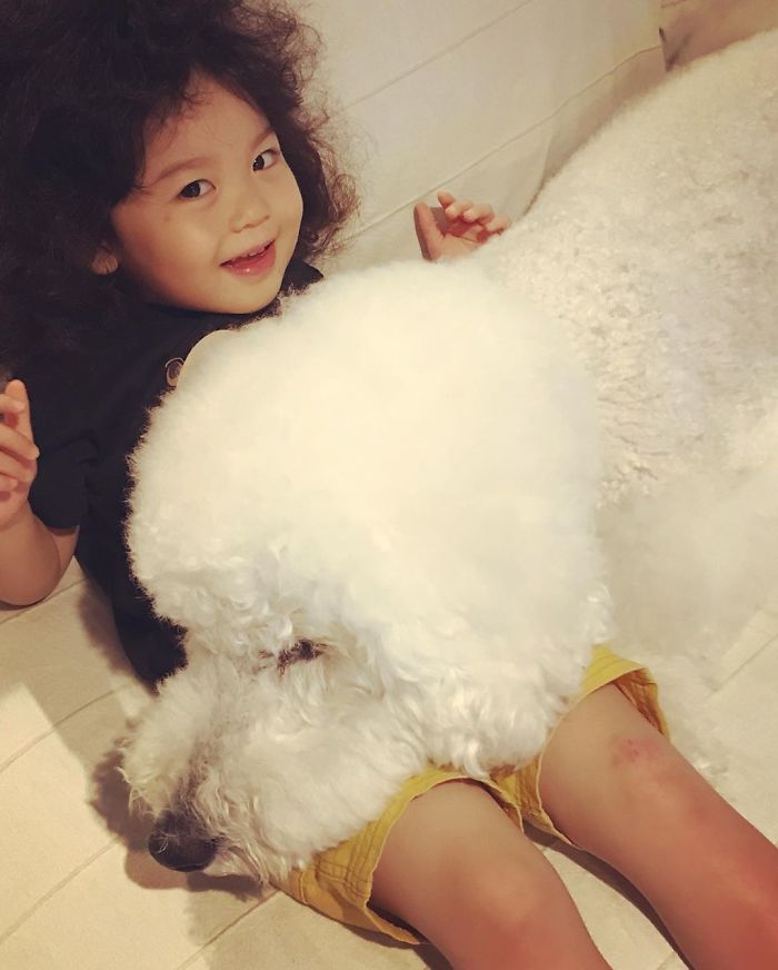 Child-Poodle-Dog-Friendship-Tamanegi-Qoo-Riku