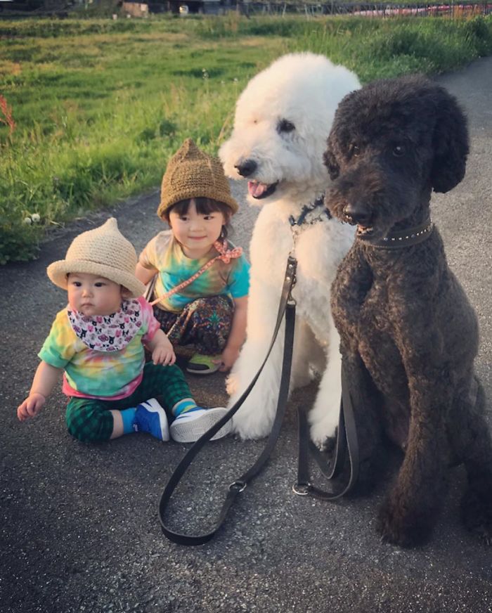 Child-Poodle-Dog-Friendship-Tamanegi-Qoo-Riku
