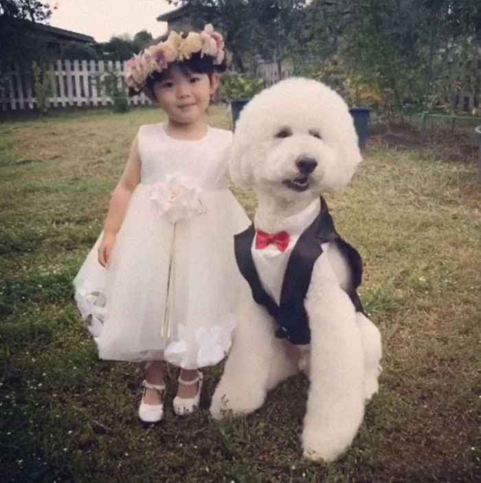 Child-Poodle-Dog-Friendship-Tamanegi-Qoo-Riku