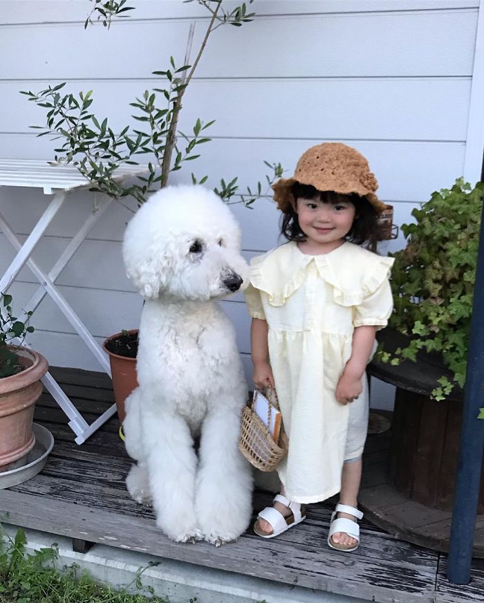 Child-Poodle-Dog-Friendship-Tamanegi-Qoo-Riku