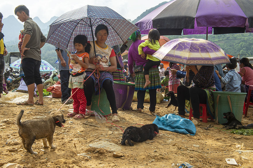 Can Cau Market - Amazing Market In Sapa