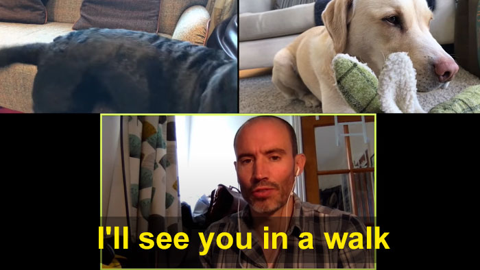 BBC Sports Broadcaster Stuck With Nothing To Report Decides To Hold A Meeting With His Two Dogs And The Video Goes Viral