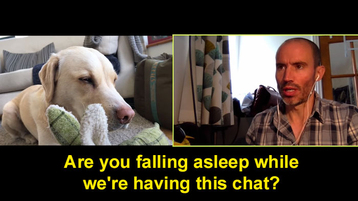 BBC Sports Broadcaster Stuck With Nothing To Report Decides To Hold A Meeting With His Two Dogs And The Video Goes Viral