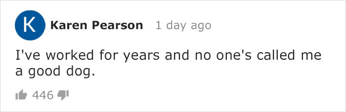 BBC Sports Broadcaster Stuck With Nothing To Report Decides To Hold A Meeting With His Two Dogs And The Video Goes Viral