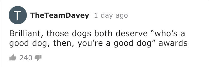 BBC Sports Broadcaster Stuck With Nothing To Report Decides To Hold A Meeting With His Two Dogs And The Video Goes Viral