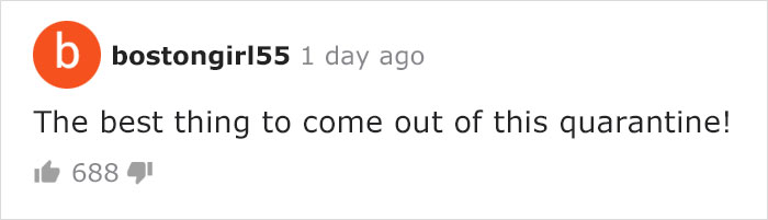 BBC Sports Broadcaster Stuck With Nothing To Report Decides To Hold A Meeting With His Two Dogs And The Video Goes Viral