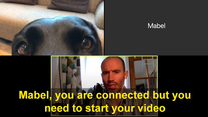 BBC Sports Broadcaster Stuck With Nothing To Report Decides To Hold A Meeting With His Two Dogs And The Video Goes Viral