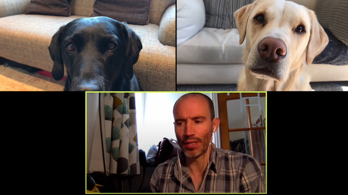 BBC Sports Broadcaster Stuck With Nothing To Report Decides To Hold A Meeting With His Two Dogs And The Video Goes Viral